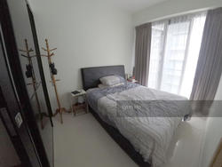 vivace photo thumbnail #4